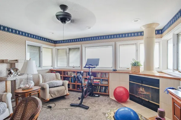 a potted plant sitting in front of a door