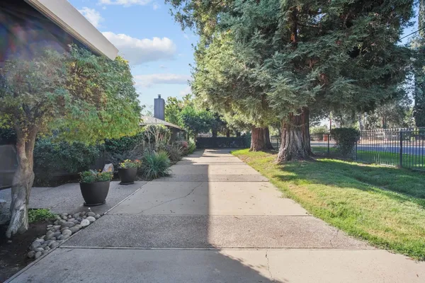 a view of a backyard with plants and trees