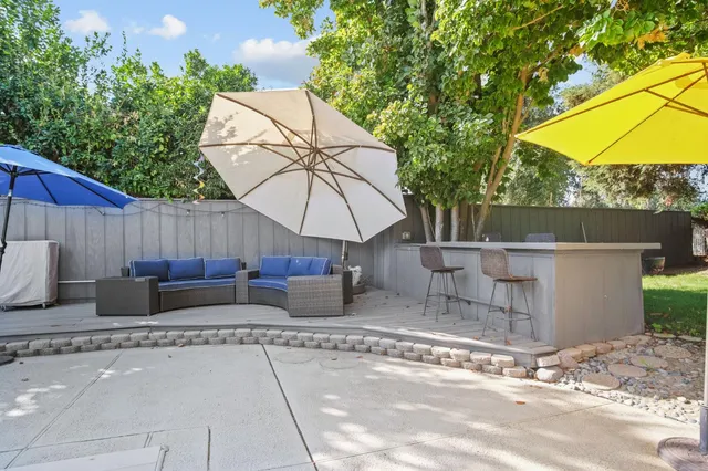 a view of a yard with plants and large trees