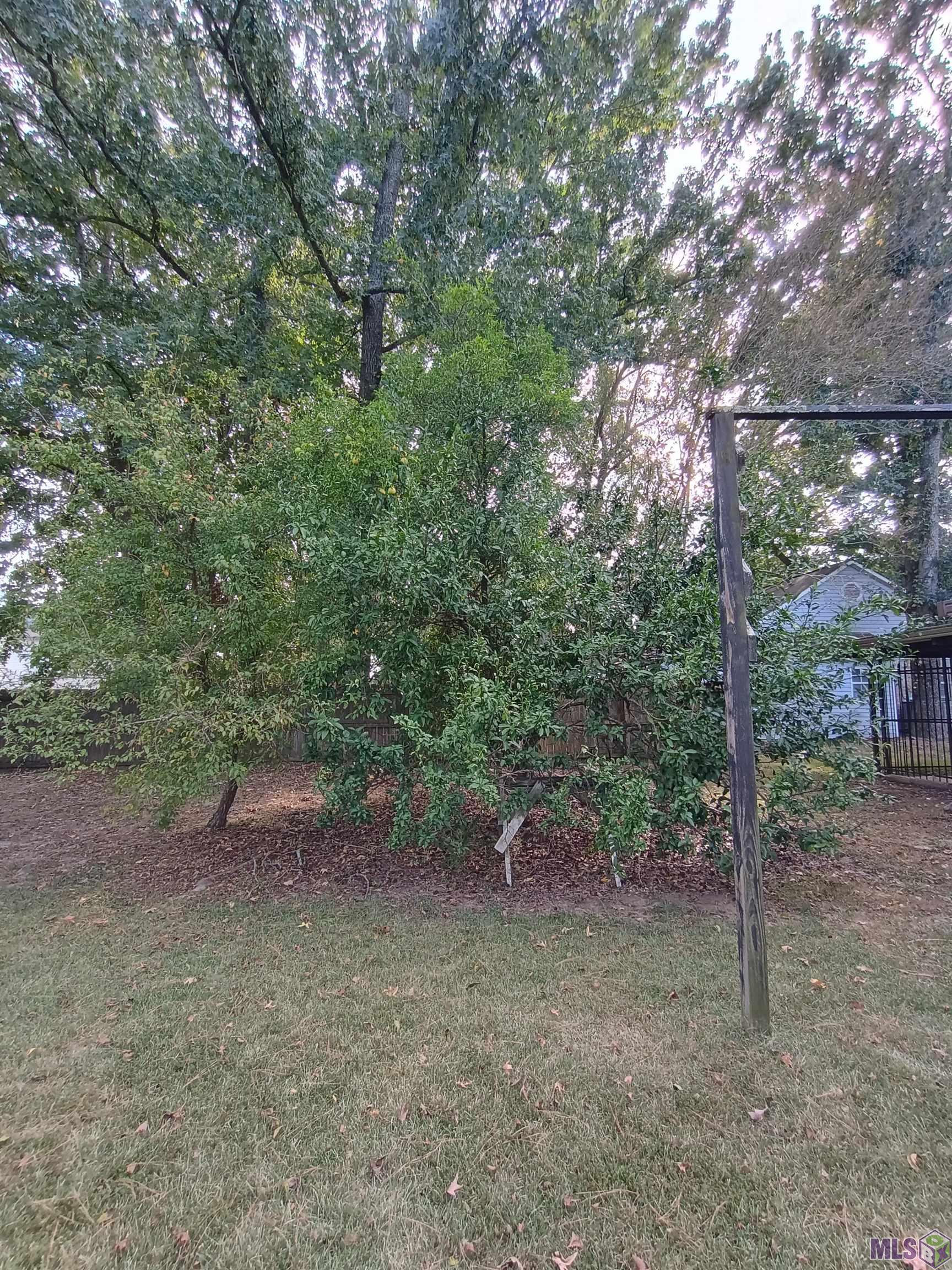 3572 Madeira Drive Baton Rouge, LA 70810 - Photo 13 of 13