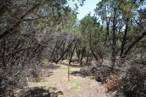 $419,400 | Tbd Lot 17 B Tbd Run, Wimberley, TX 78676