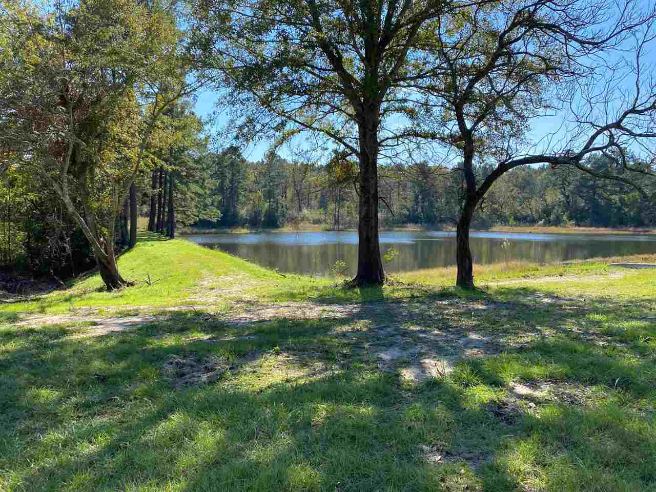684 Pinola Braxton Road Braxton, MS 39044 - Photo 36 of 50 Photo 36
