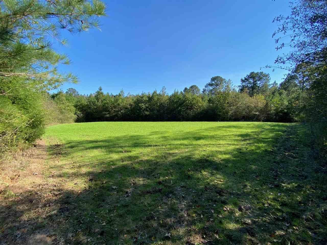 684 Pinola Braxton Road Braxton, MS 39044 - Photo 37 of 50 Photo 37