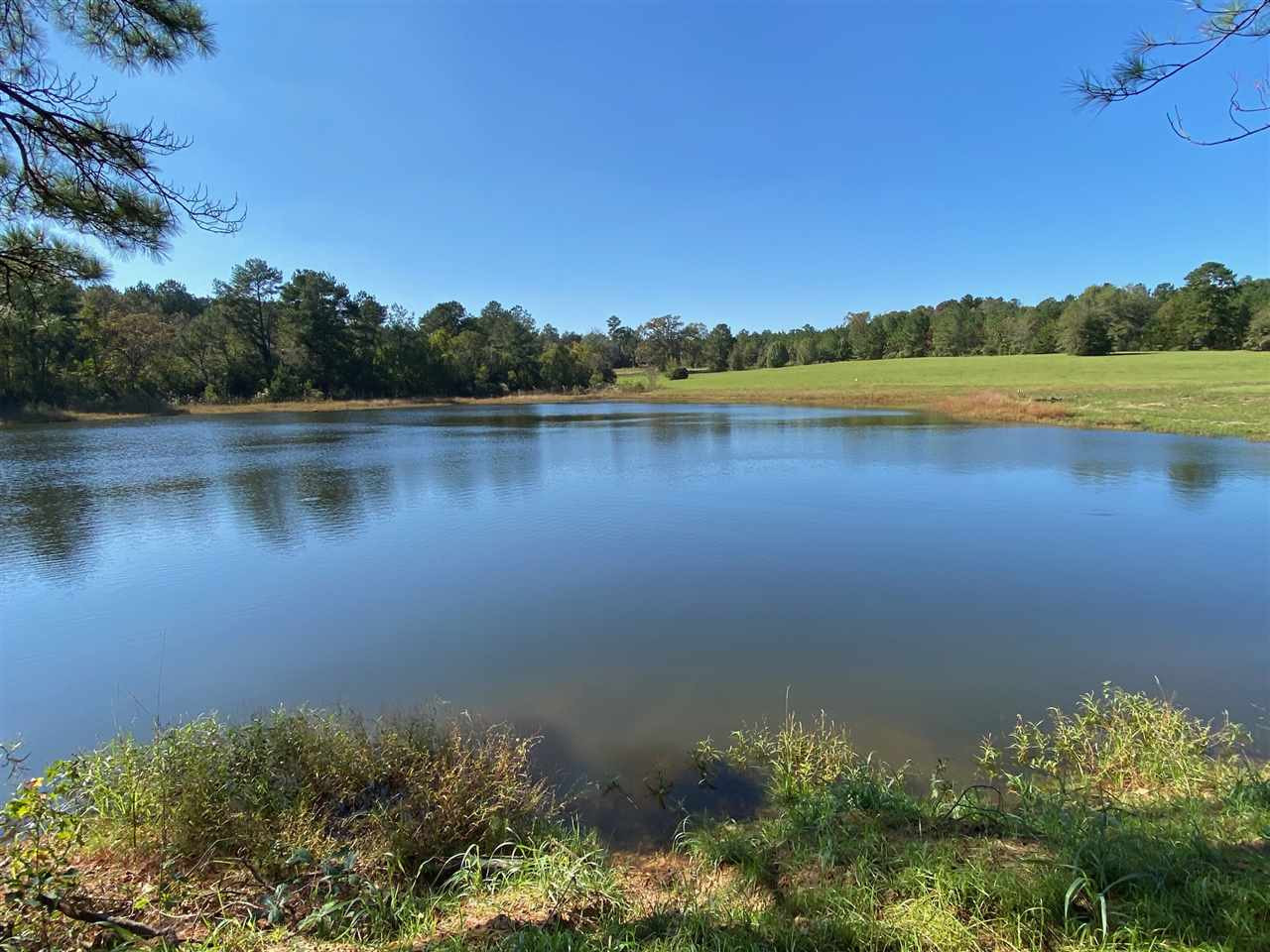 684 Pinola Braxton Road Braxton, MS 39044 - Photo 4 of 50 Photo 4