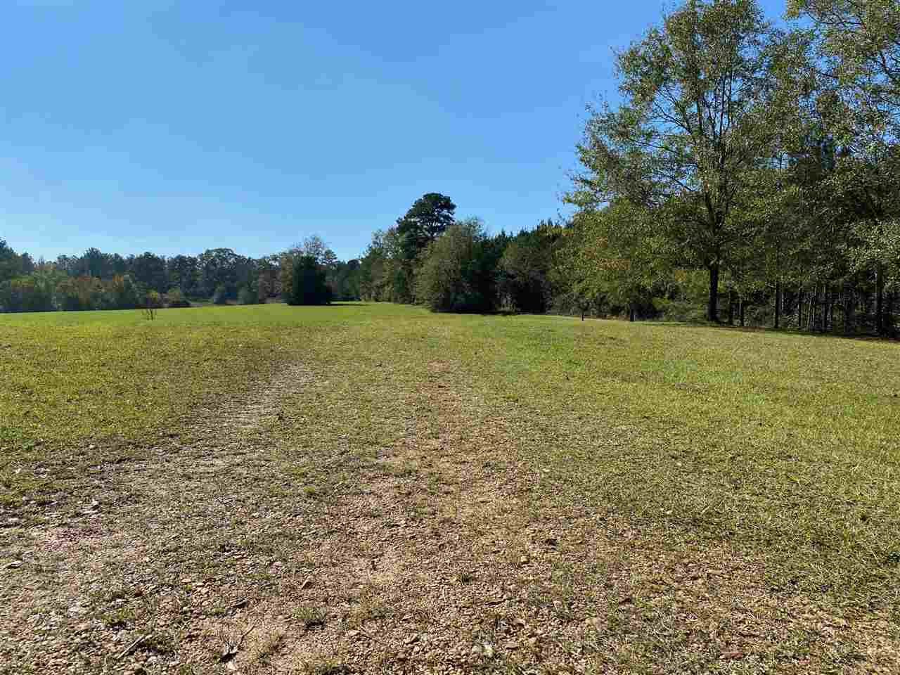 684 Pinola Braxton Road Braxton, MS 39044 - Photo 46 of 50 Photo 46