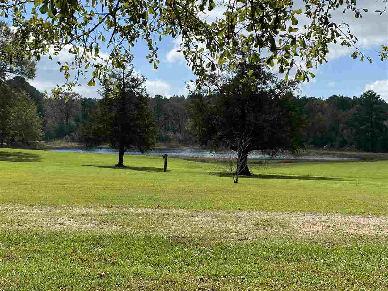 684 Pinola Braxton Road Braxton, MS 39044 - Photo 5 of 50 Photo 5