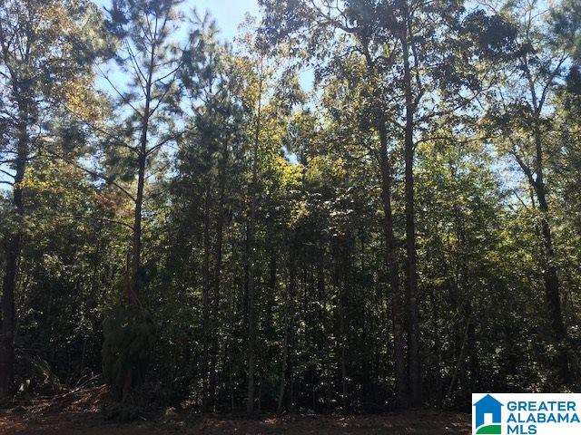 787 Bluff Valley Road, Unit 41 AC Cragford, AL 36255 - Photo 4 of 8