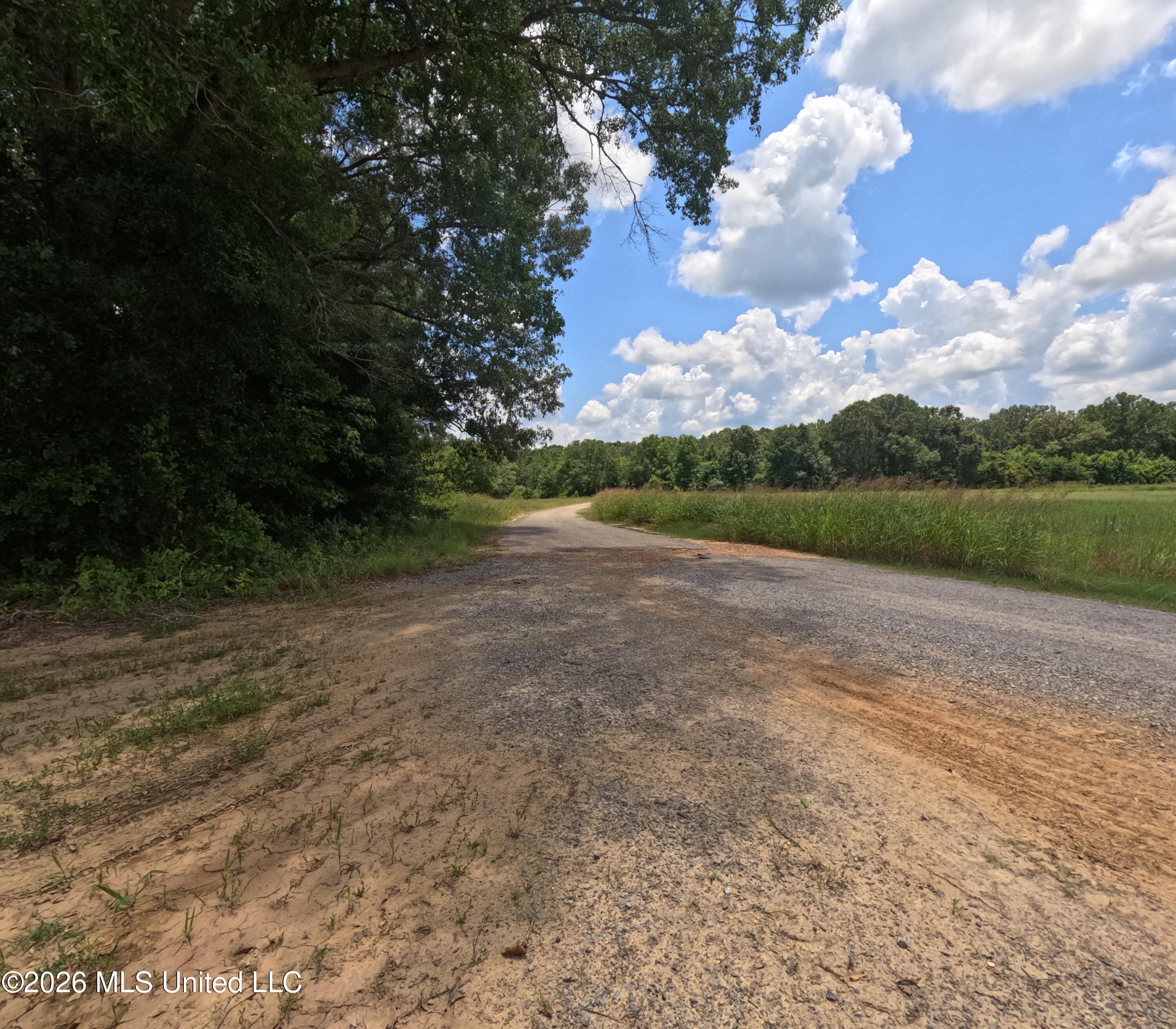 Old Port Edwards, MS 39066 - Photo 19 of 65 GOPR2255