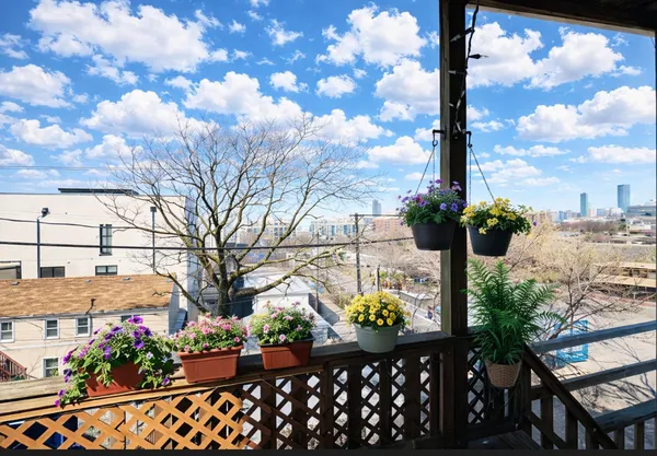 a view of a flower garden