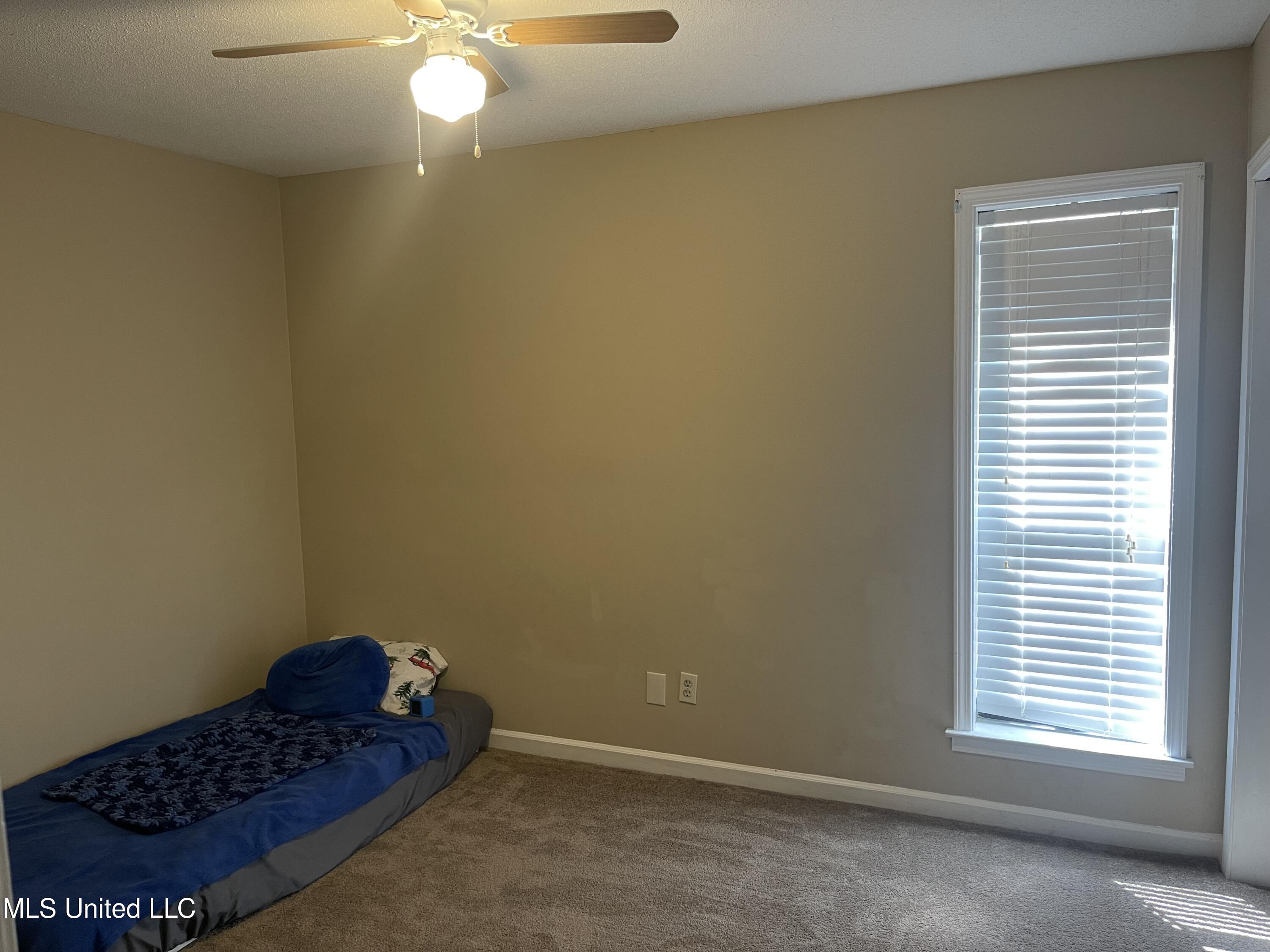 4519 Bienville Road Nesbit, MS 38651 - Photo 12 of 24 IMG-9496