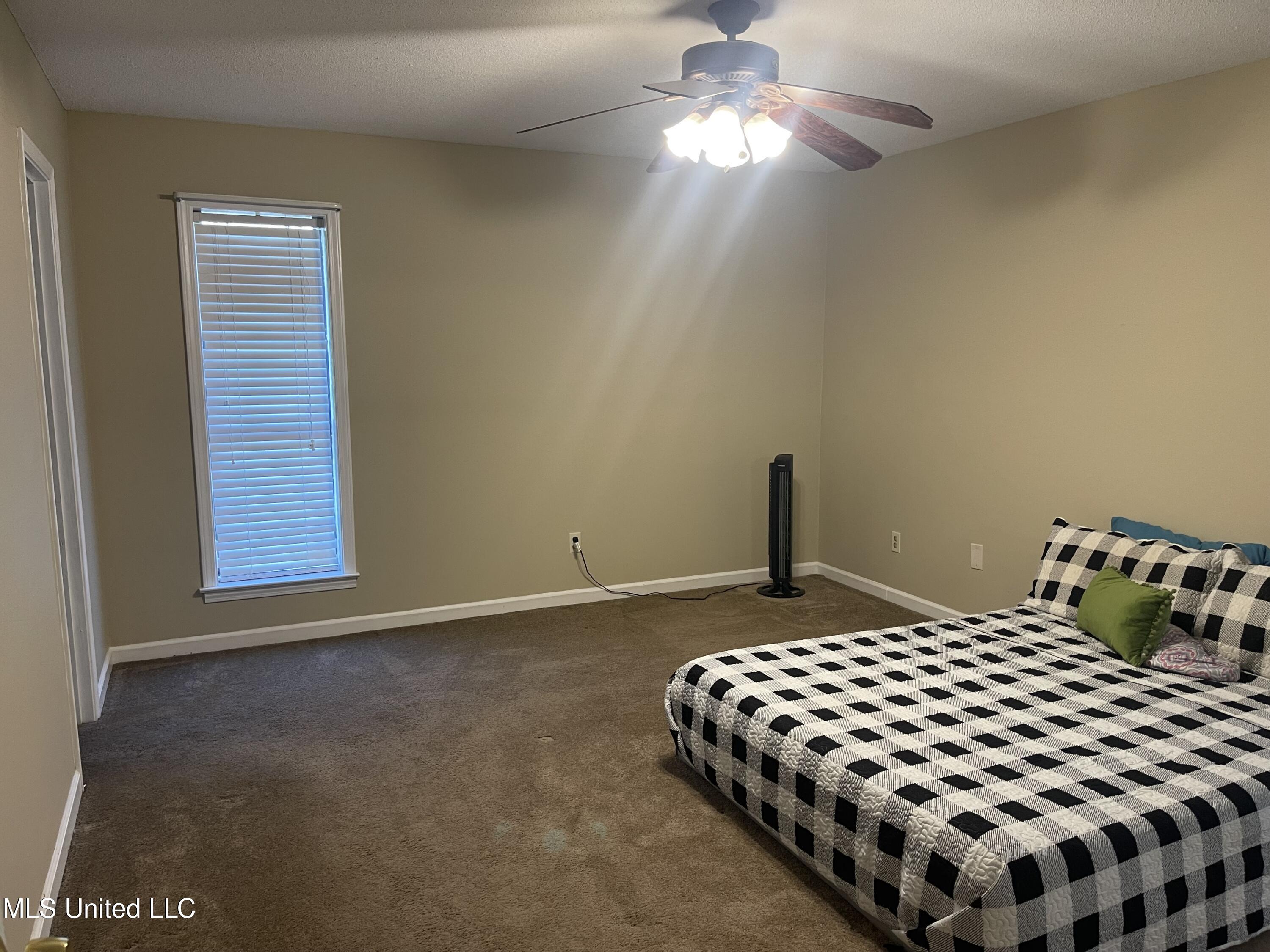 4519 Bienville Road Nesbit, MS 38651 - Photo 13 of 24 IMG-9490