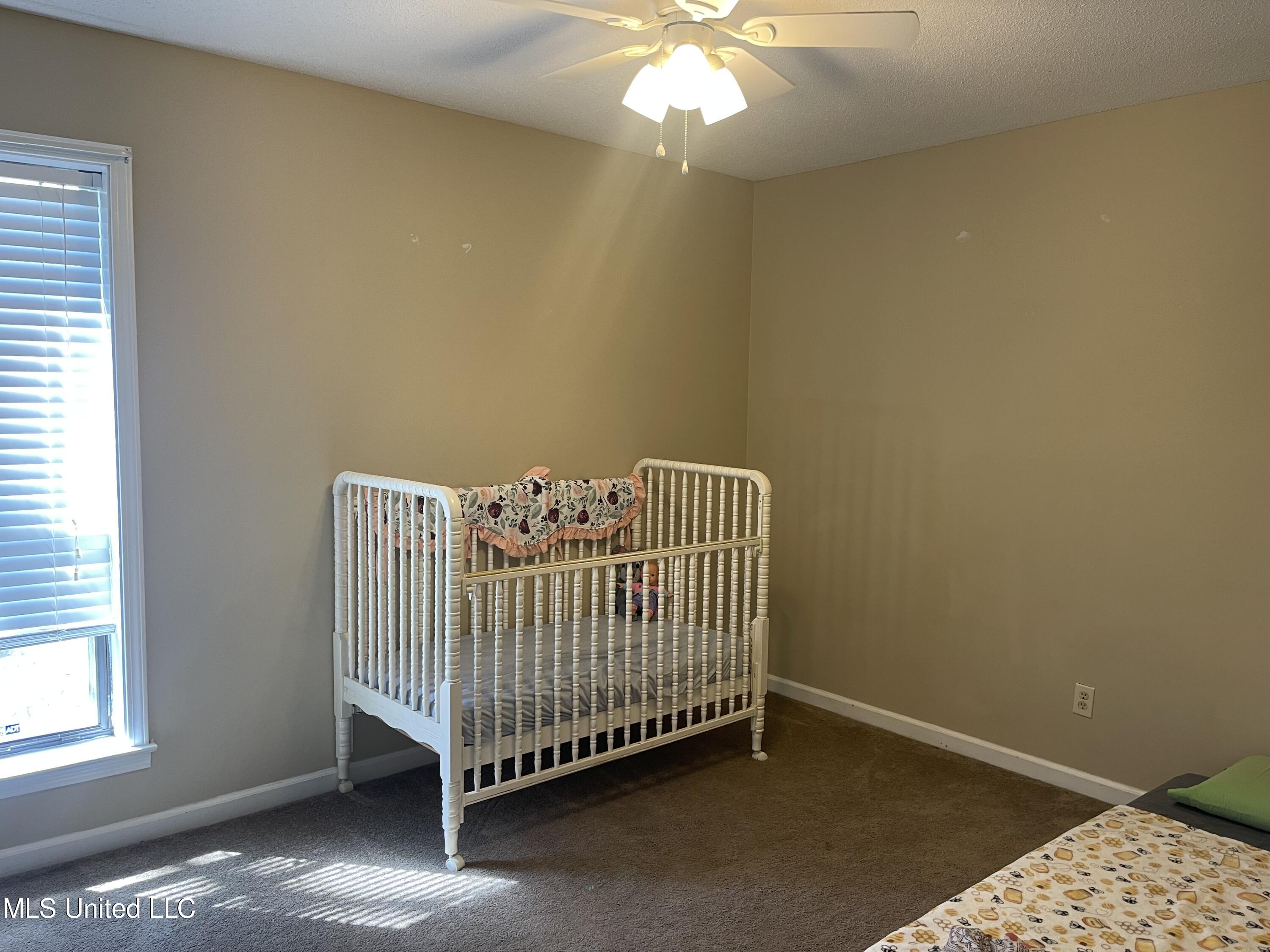 4519 Bienville Road Nesbit, MS 38651 - Photo 10 of 24 IMG-9489