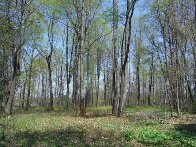 9238 West Pottorff Road Paragon, IN 46166 - Photo 2 of 6