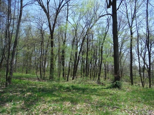 9238 West Pottorff Road Paragon, IN 46166 - Photo 4 of 6