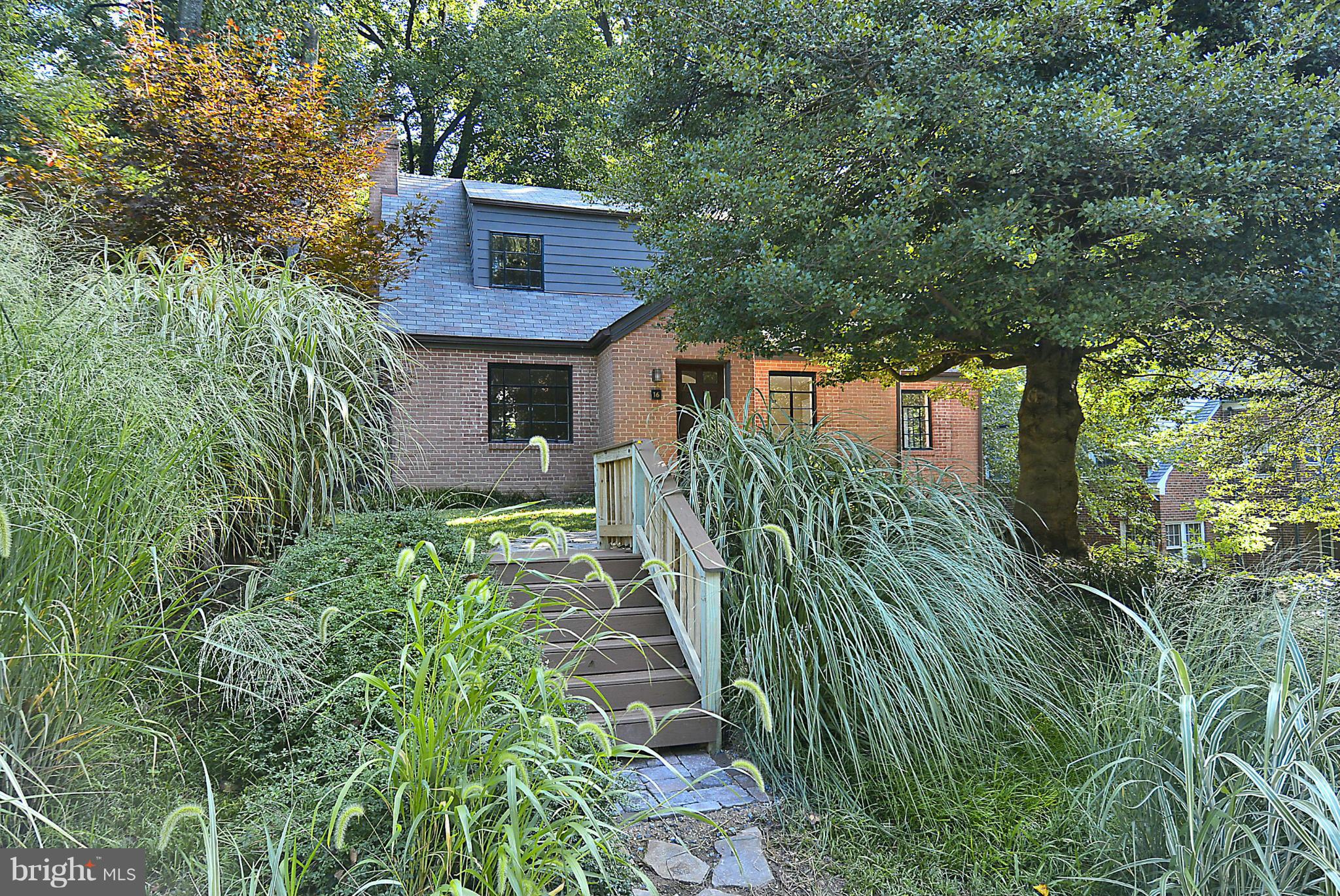 16 Sussex Road Silver Spring, MD 20910 - Photo 5 of 25 a view of a garden with plants