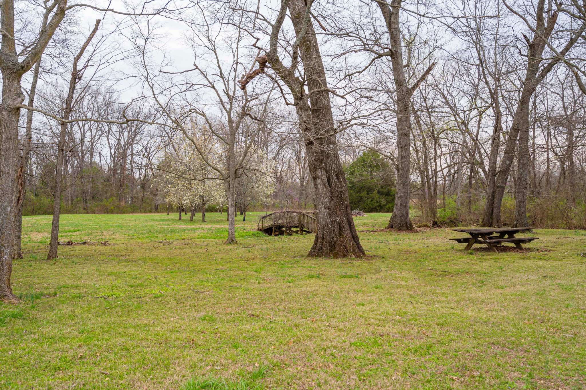 985 Pleasant Run Road Smyrna, TN 37167 - Photo 14 of 38 Gallery Image 14
