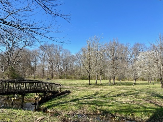 985 Pleasant Run Road Smyrna, TN 37167 - Photo 16 of 38 Gallery Image 16