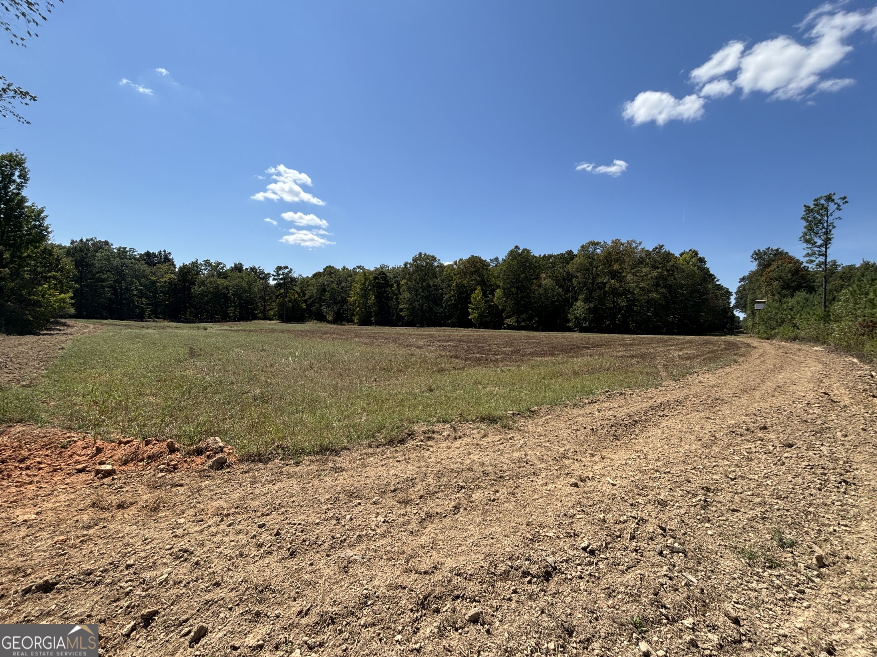 9390 Hopewell Road Lizella, GA 31052 - Photo 15 of 32 Gallery Image 15