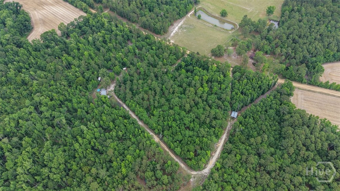 373 Chuck Ellis Road Portal, GA 30450 - Photo 65 of 67