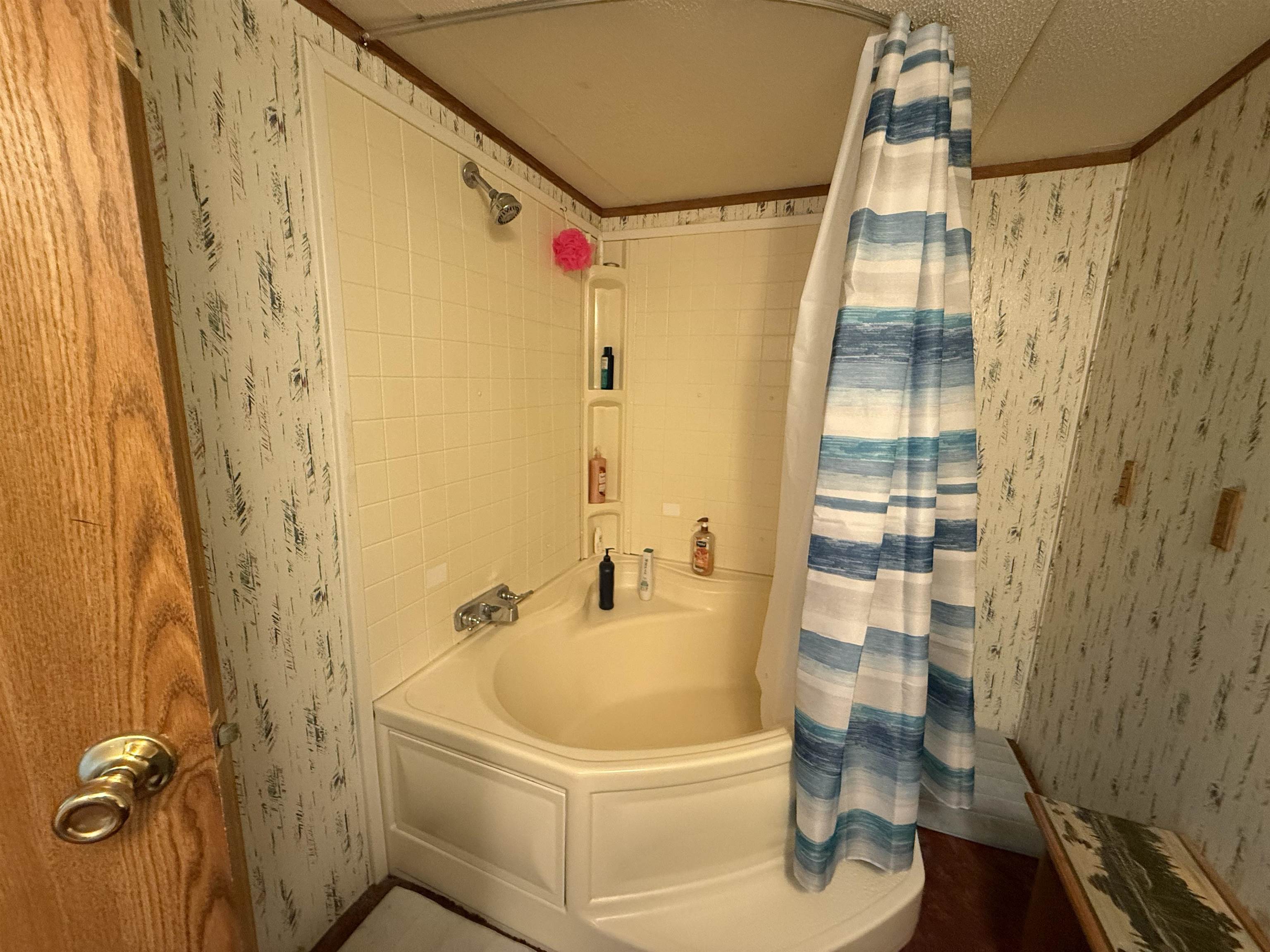 7274 South Forward Road McBain, MI 49657 - Photo 32 of 76