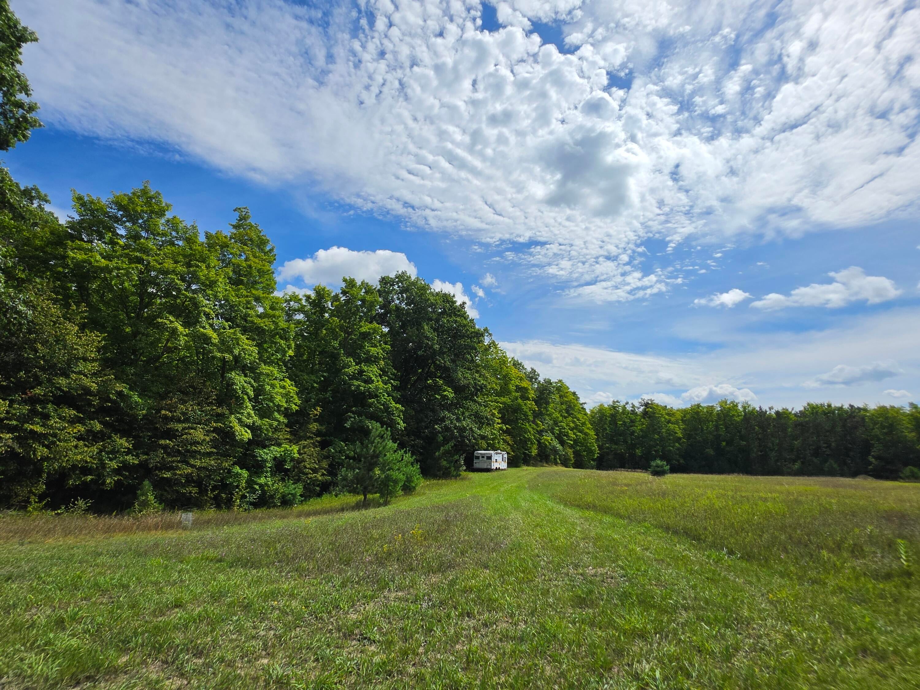 3015 North Weaver Road Fairview, MI 48621 - Photo 12 of 46 Gallery Image 12
