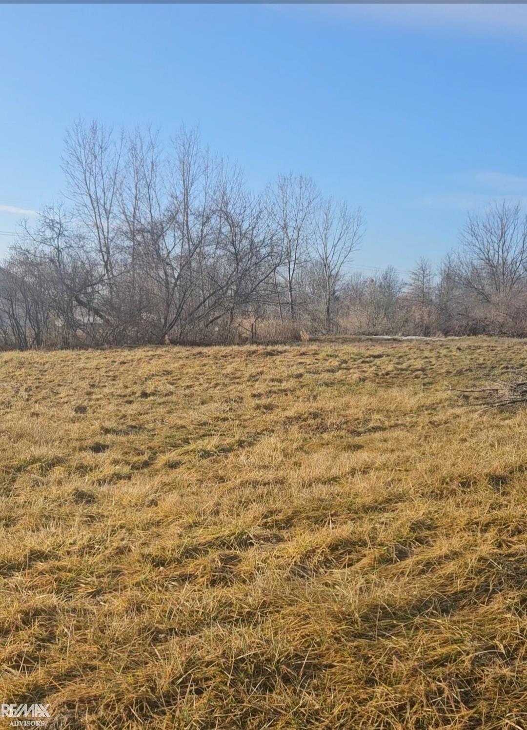 5082 Palms Road Casco, MI 48064 - Photo 4 of 6