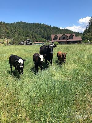 7001 Hearst Willits Road Willits, CA 95490 - Photo 38 of 45