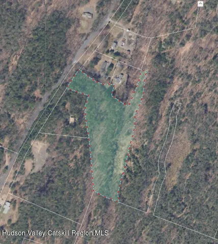 a aerial view of a yard with large trees