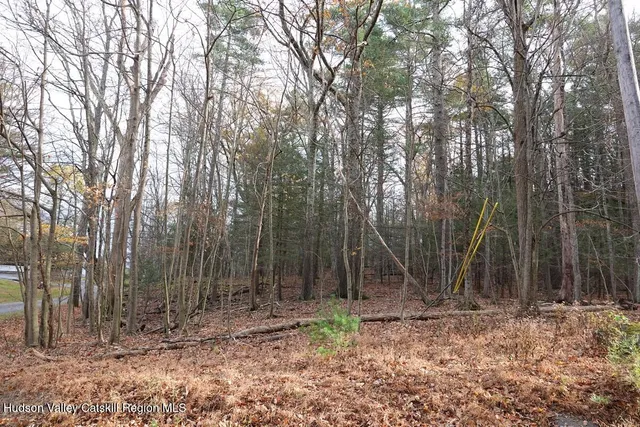 a backyard of a house with lots of trees