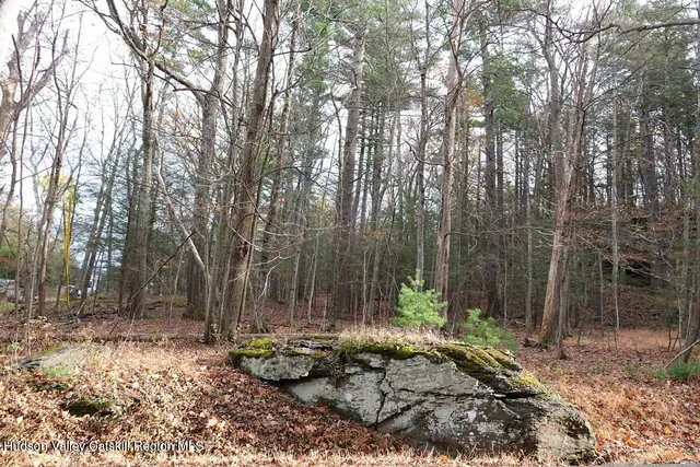 a view of a backyard with large trees
