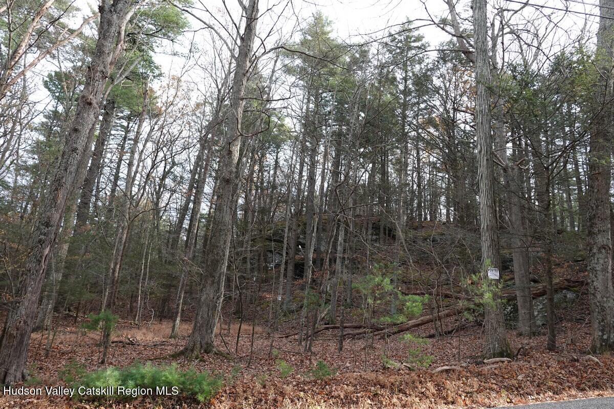 0 Manorville Road Saugerties, NY 12477 - Photo 5 of 7 a view of a forest