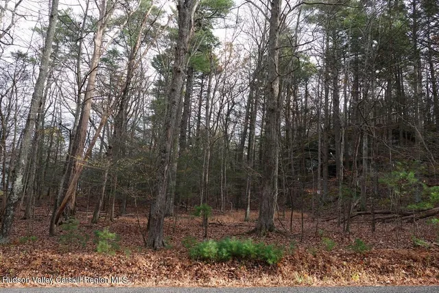 a view of backyard with green space