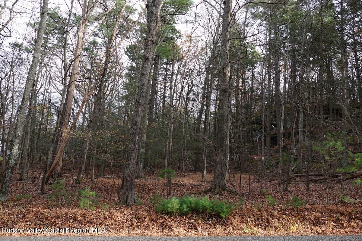0 Manorville Road Saugerties, NY 12477 - Photo 6 of 7