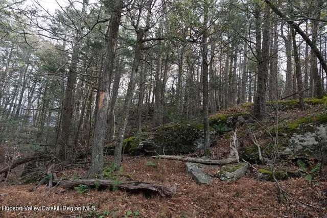 $199,000 | 0 Manorville Road, Saugerties, NY 12477