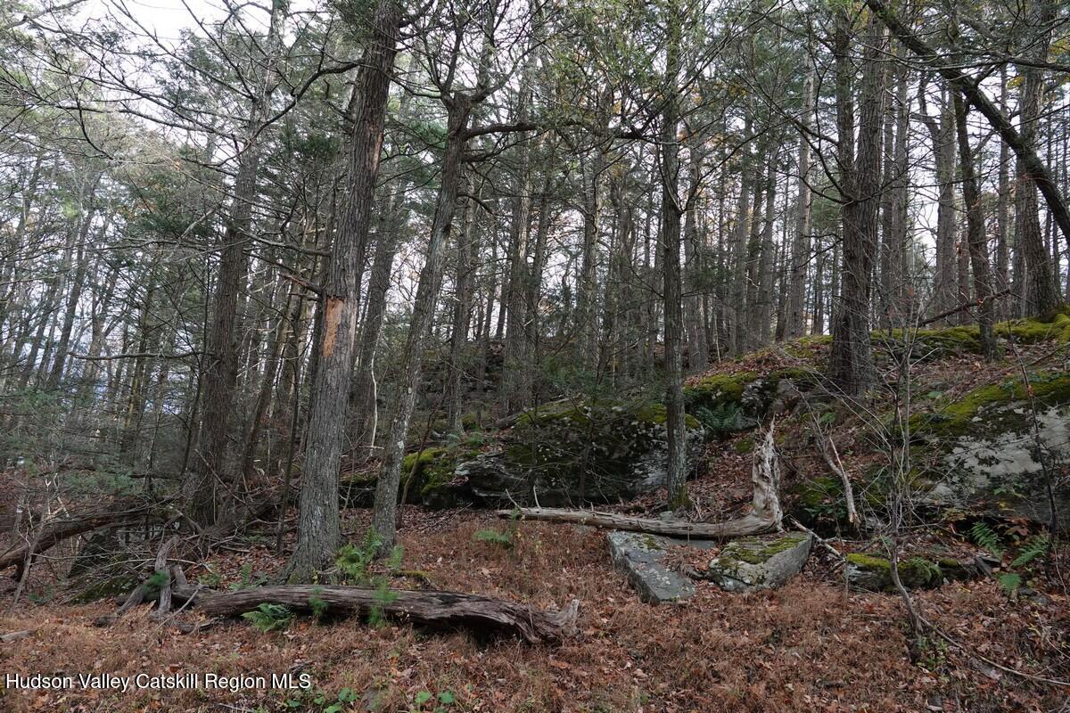 0 Manorville Road Saugerties, NY 12477 - Photo 7 of 7 a view of backyard with green space