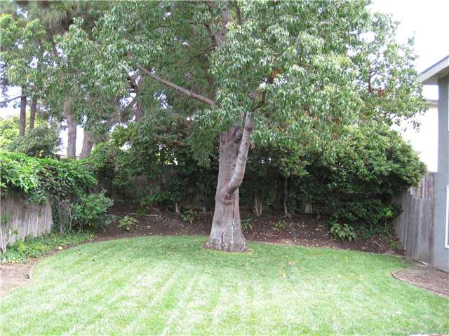 1730 Greentree Road Encinitas, CA 92024 - Photo 10 of 12