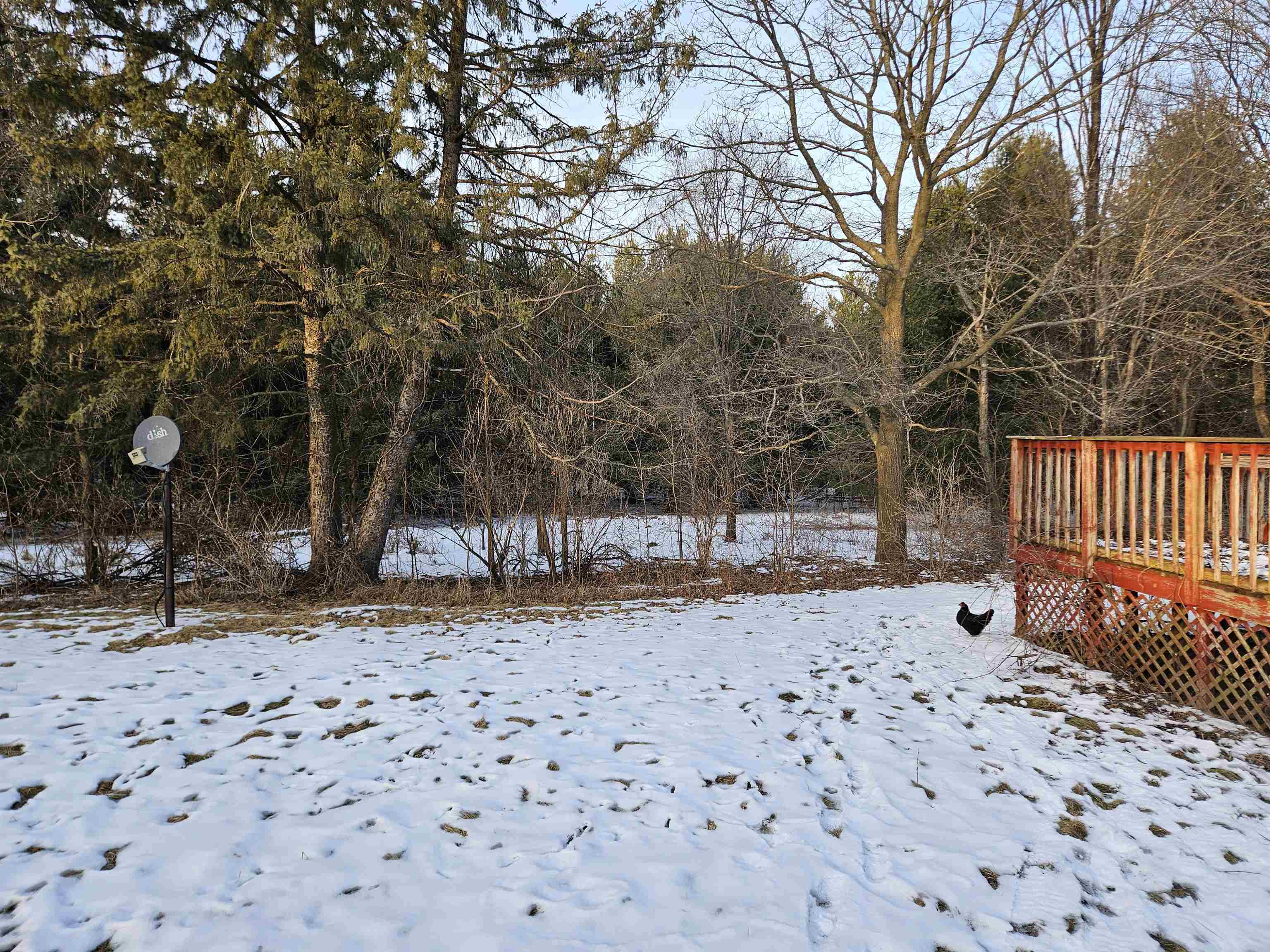 N5926 Walker Road New Lisbon, WI 53950 - Photo 7 of 45