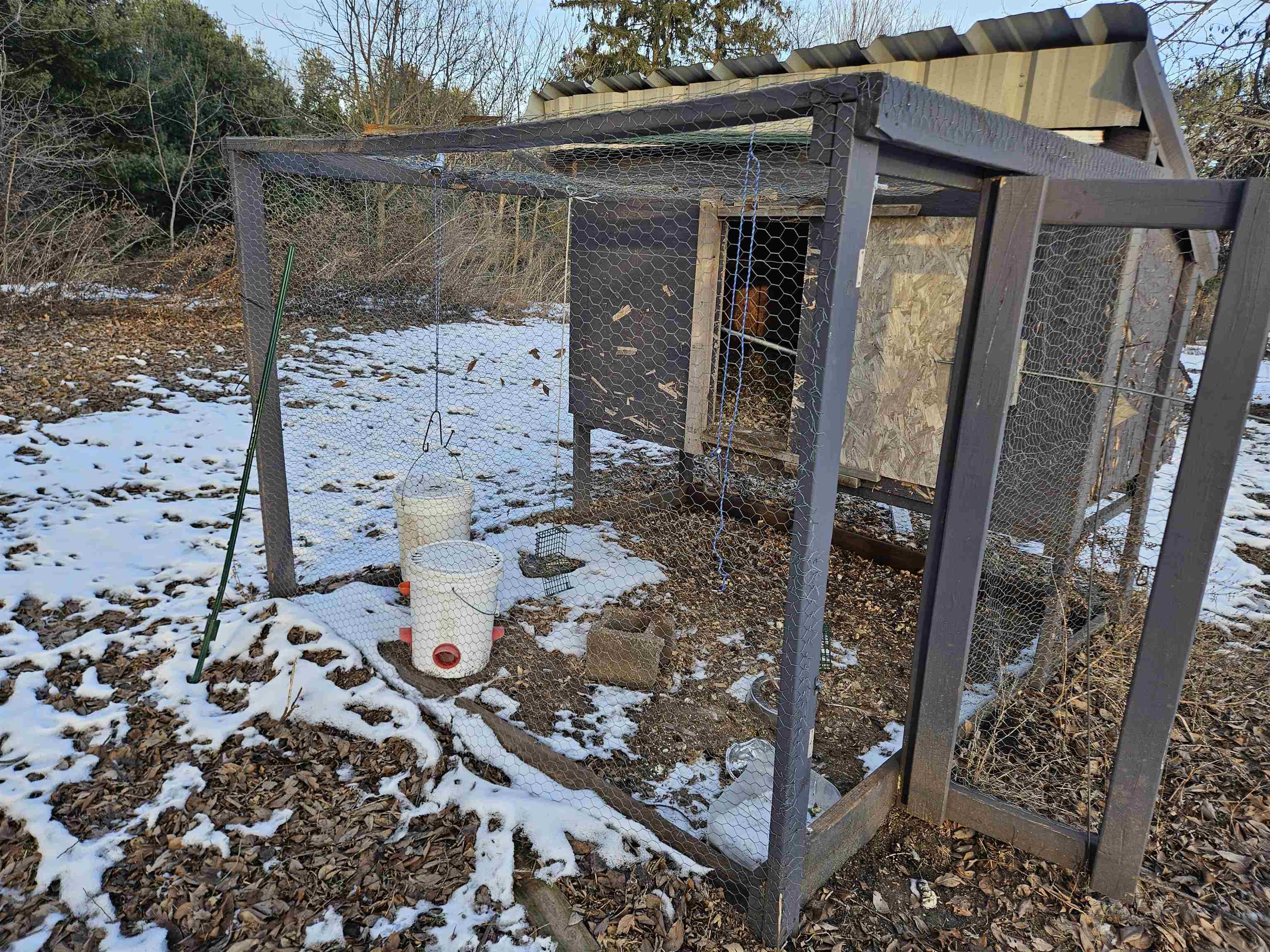 N5926 Walker Road New Lisbon, WI 53950 - Photo 10 of 45