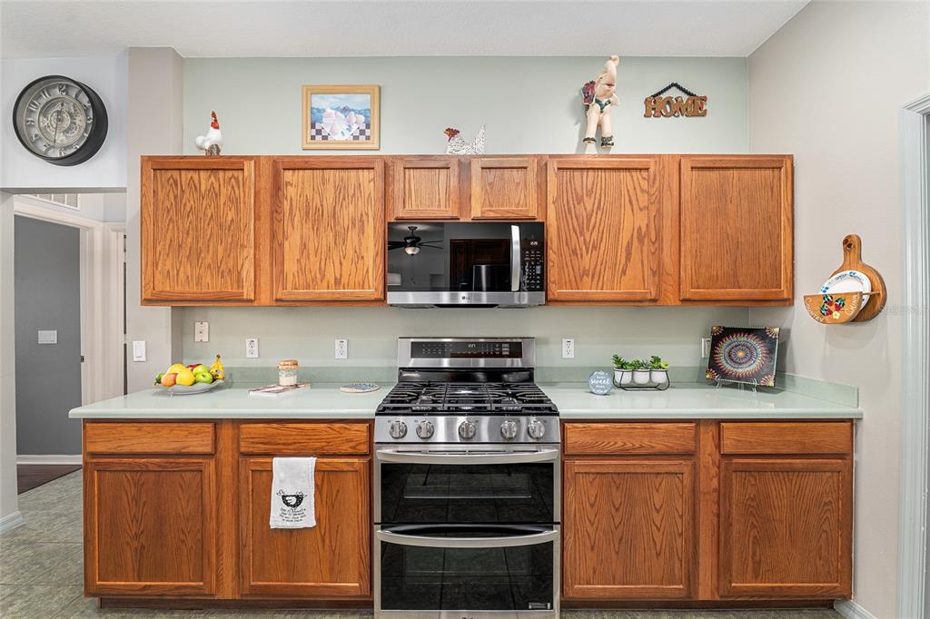 9733 Southwest 89th Loop Ocala, FL 34481 - Photo 24 of 65