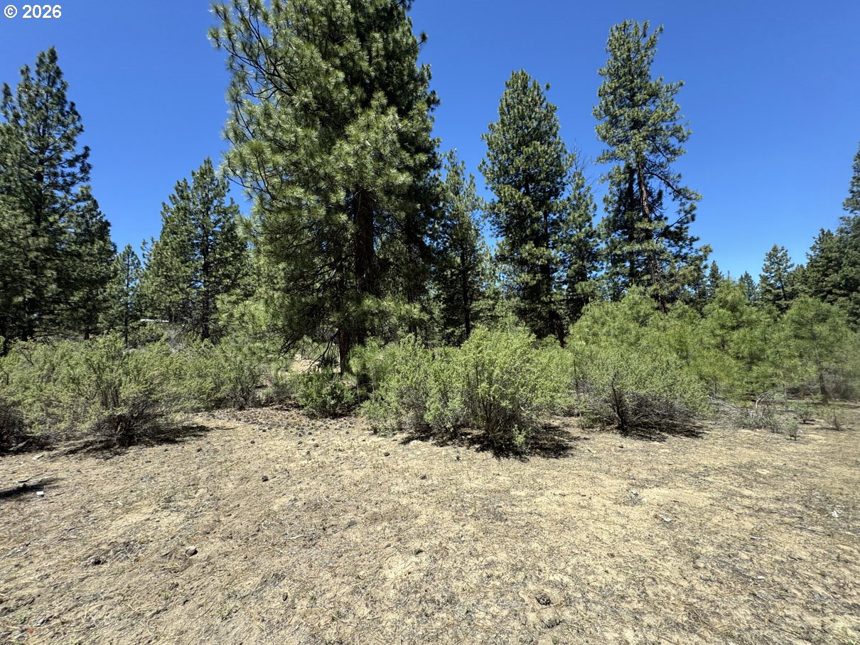 Friendship Drive, Unit 15 Chiloquin, OR 97624 - Photo 37 of 41