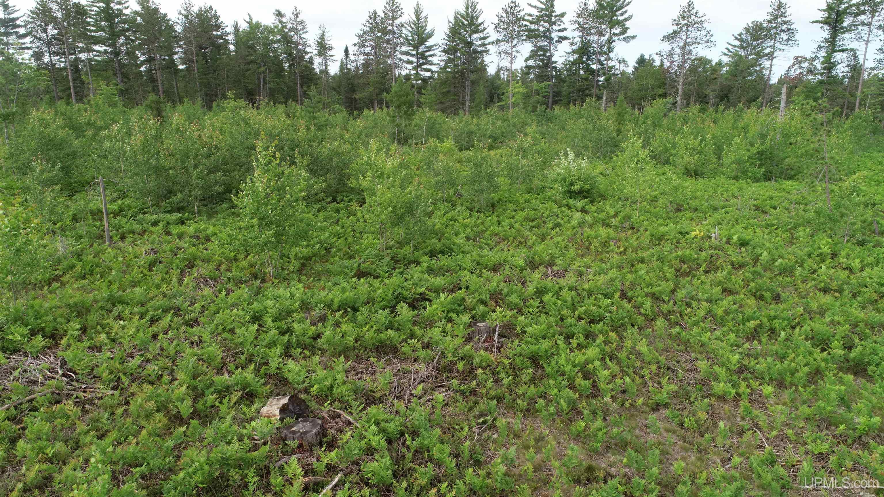 Tbd Tbd Hay Meadow Road Manistique, MI 49854 - Photo 21 of 51