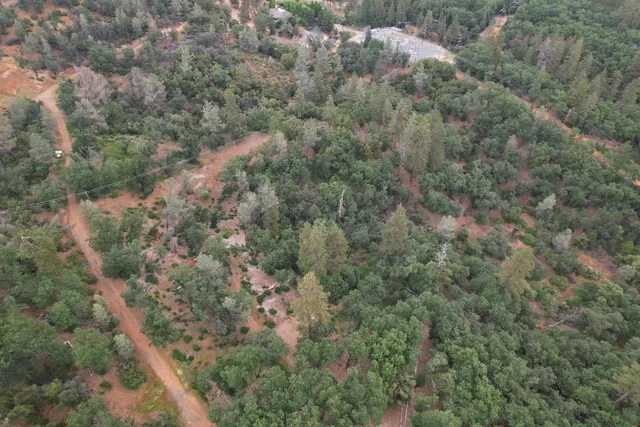 a view of a forest with a building