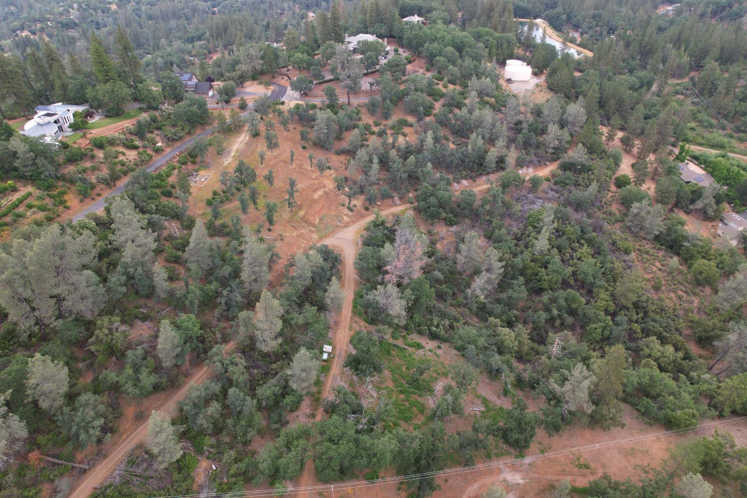 0 Bridle Path Road Colfax, CA 95713 - Photo 8 of 14 a view of a forest with a tree