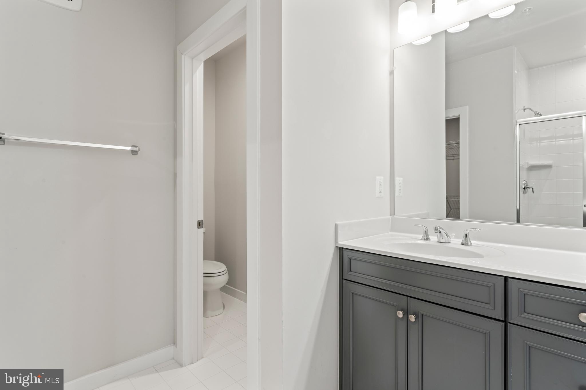 20320 Newfoundland Square Ashburn, VA 20147 - Photo 30 of 53 Master bath