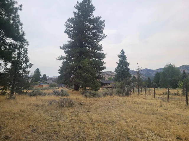 a view of a yard with trees in the background