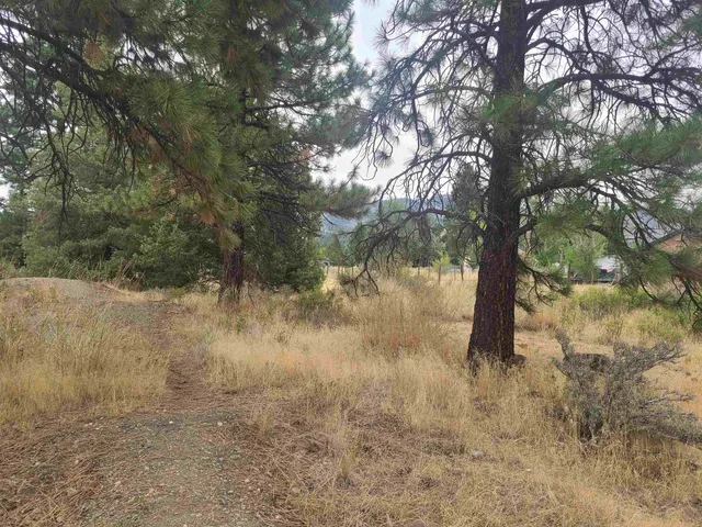 $19,500 | 976 West Sierra Brooks Drive, Loyalton, CA 96118