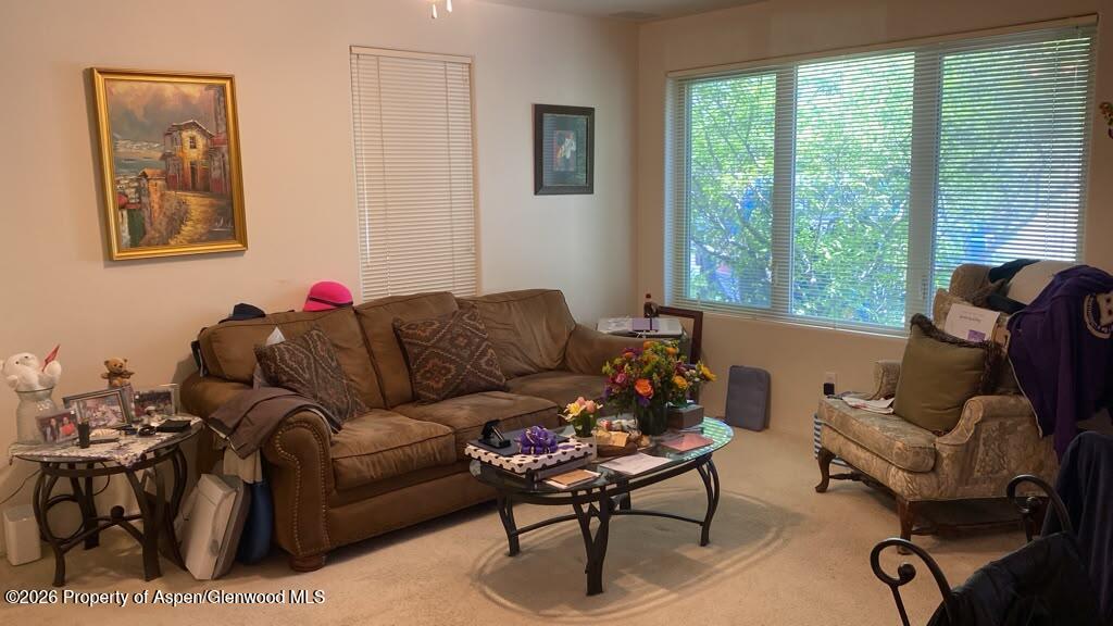 1400 East Valley Road, Unit 1 Basalt, CO 81621 - Photo 1 of 7 IMG_6547