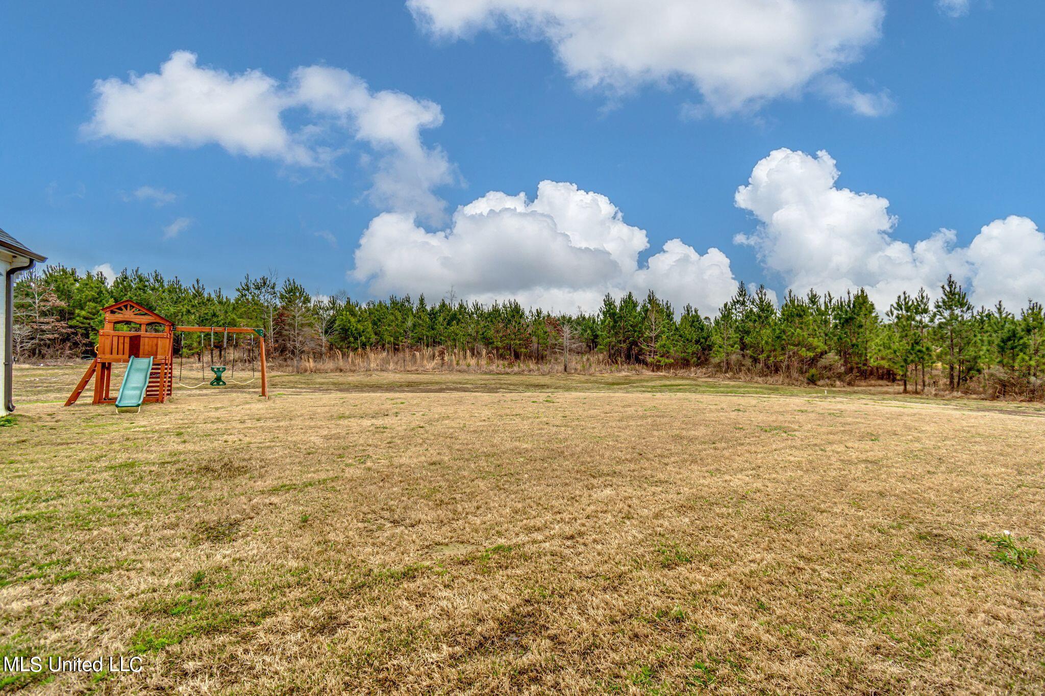 229 Harrell Road Pelahatchie, MS 39145 - Photo 65 of 72 bVvsvaum