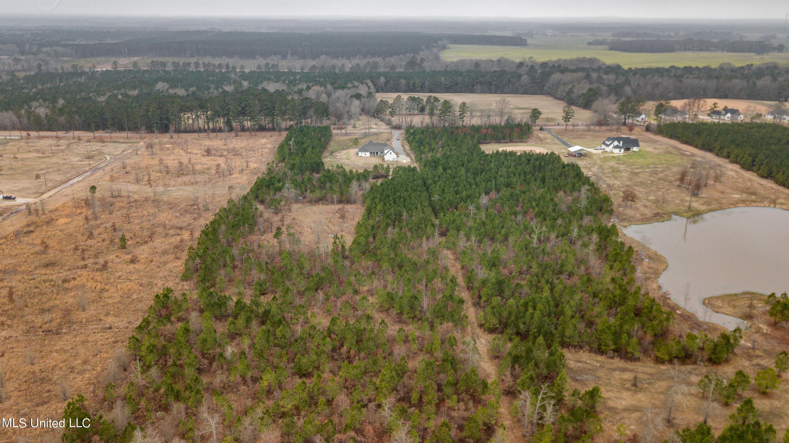 229 Harrell Road Pelahatchie, MS 39145 - Photo 71 of 72 0F5sHIZQ