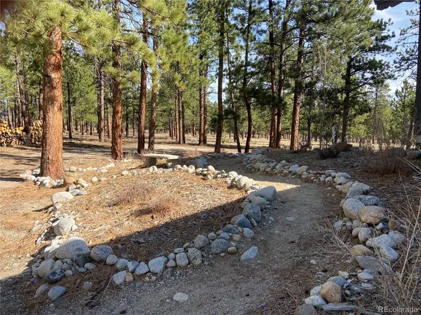 $735,000 | 16165 Burt Gulch Road, Buena Vista, CO 81211